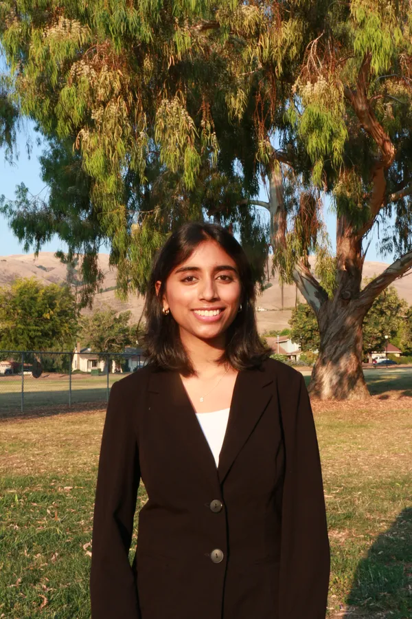 Vice President of Programs