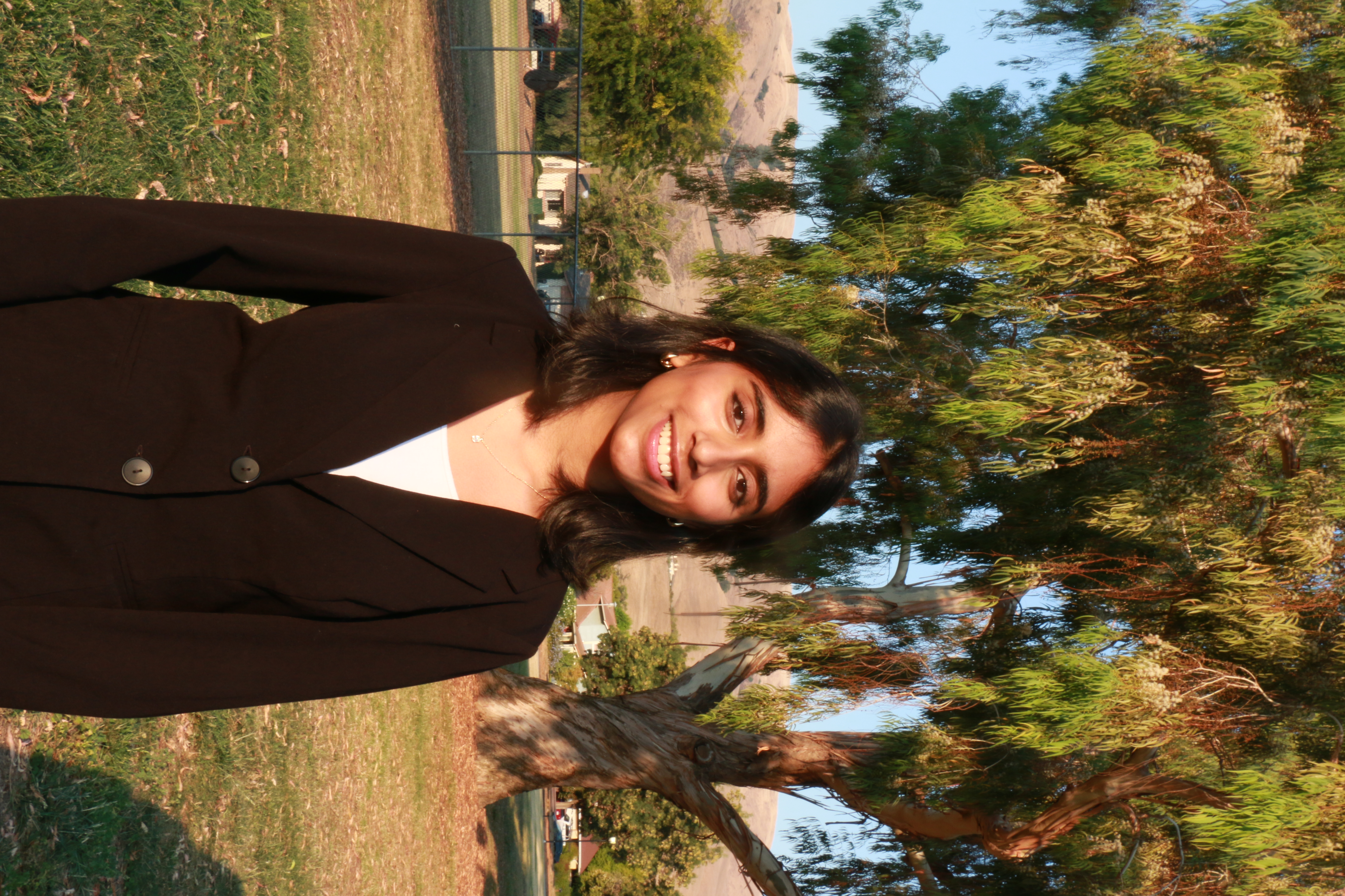 Vice President of Programs